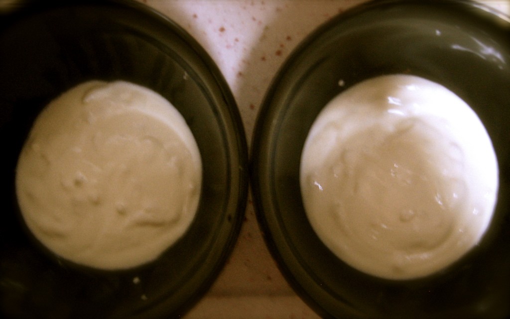 yogurt in bowl
